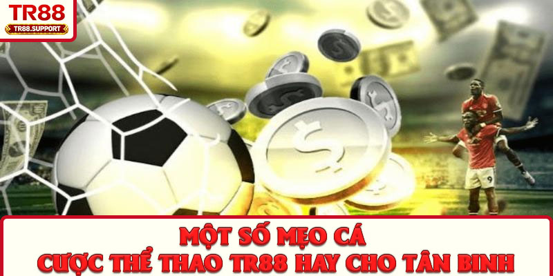 Một số mẹo cá cược thể thao TR88 hay cho tân binh