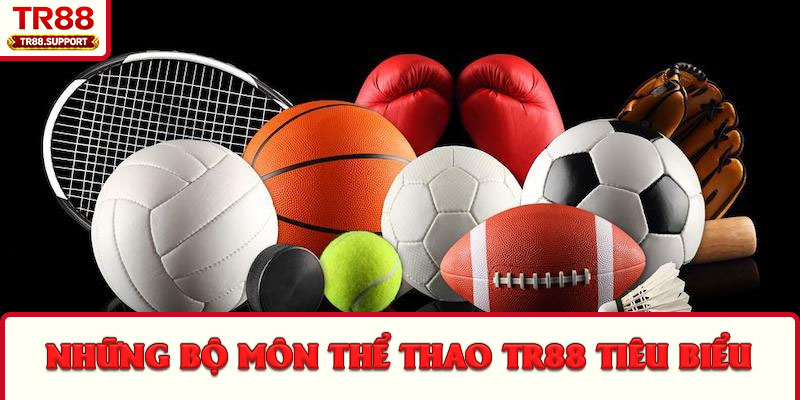 Những bộ môn thể thao TR88 tiêu biểu